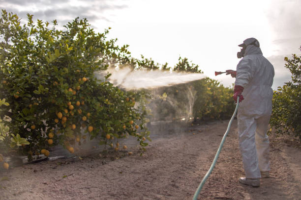 Pest Prevention Services in Coal Fork, WV